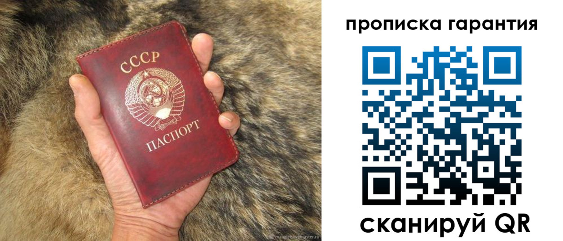 временная регистрация гарантия в Зиме